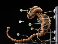 【R-TYPE】figma「ドブケラドプス」可動フィギュア 本日予約開始の画像