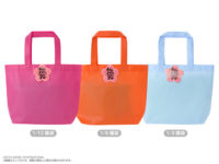 ドール「アゾン初売り福袋」発売決定、1/12サイズほか【ピコニーモほか】の画像