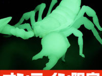リボジオ「ダイオウサソリ」可動フィギュア、限定「蓄光版」発売決定の画像