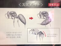 【東京おもちゃショー】「バンダイ（ガシャポン）」新作展示情報まとめの画像