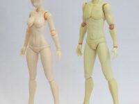 【可動フィギュア用素材】ホビーベース「1/12 素材くん 」近日予約開始の画像