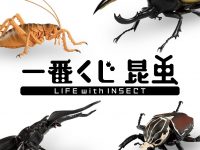 【虫】一番くじ「昆虫 LIFE with INSECT」発売決定、ほぼ原寸大の虫フィギュアがラインナップの画像