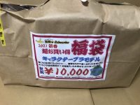 【プラモ福袋】イエサブ秋葉原「キャラクタープラモデル福袋（1万円）」開封紹介の画像