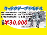 【プラモ福袋】イエサブ通販「キャラクタープラモデル福袋（3万円）」開封紹介の画像