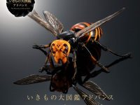 【ガシャポン】「いきもの大図鑑アドバンス スズメバチ」オンラインガシャポンで販売開始の画像
