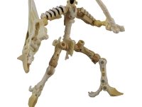 【トランスフォーマー】キングダム 「ウイングフィンガー」タカトミモール限定【楽天予約開始】の画像