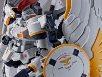 【ガンプラ】MG「トールギスF EW」「エールストライクガンダム Ver.RM」「ストライクルージュ オオトリ装備 Ver.RM」プレバン追加予約開始の画像
