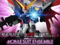 モビルスーツアンサンブル「デスティニーガンダム」【プレバン受注開始】の画像