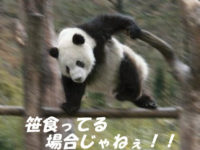 【カプセル】「THE テント」発売決定！1/12の限界に挑戦の画像