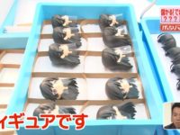 【ねんどろいど】フィギュア工場に潜入「がっちりマンデー!!（最新話）」無料配信開始【テレビ】の画像