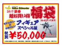 【イエサブ】「新春福袋（54000円）」開封紹介【DX超合金 VF-31Jジークフリード入り】の画像