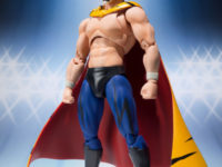 【バンダイ8月一般】S.H.フィギュアーツ「仮面ライダースカル（真骨彫）」ほか画像公開の画像