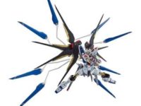 【予約再開】METAL ROBOT魂「ストライクフリーダムガンダム」【ビックカメラ】の画像